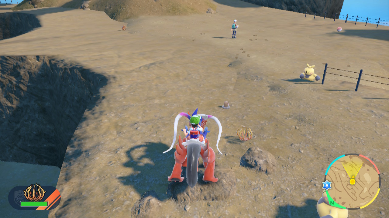 Walked A Lot.jpg