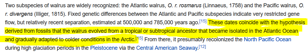 Walrein - Tropical Supporting Evidence.PNG