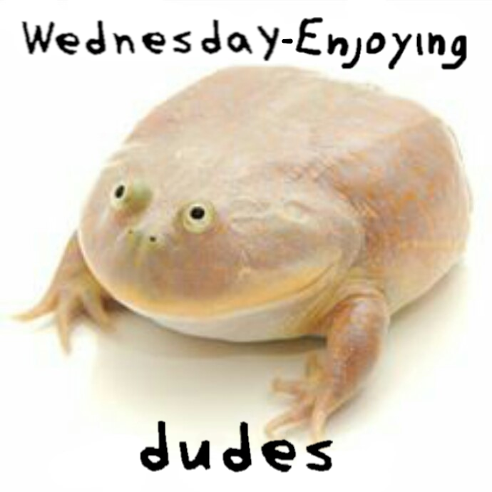 wed team logo.jpg.png