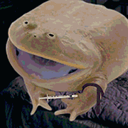 wednesday.gif