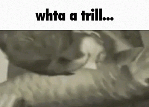 what a trill.gif