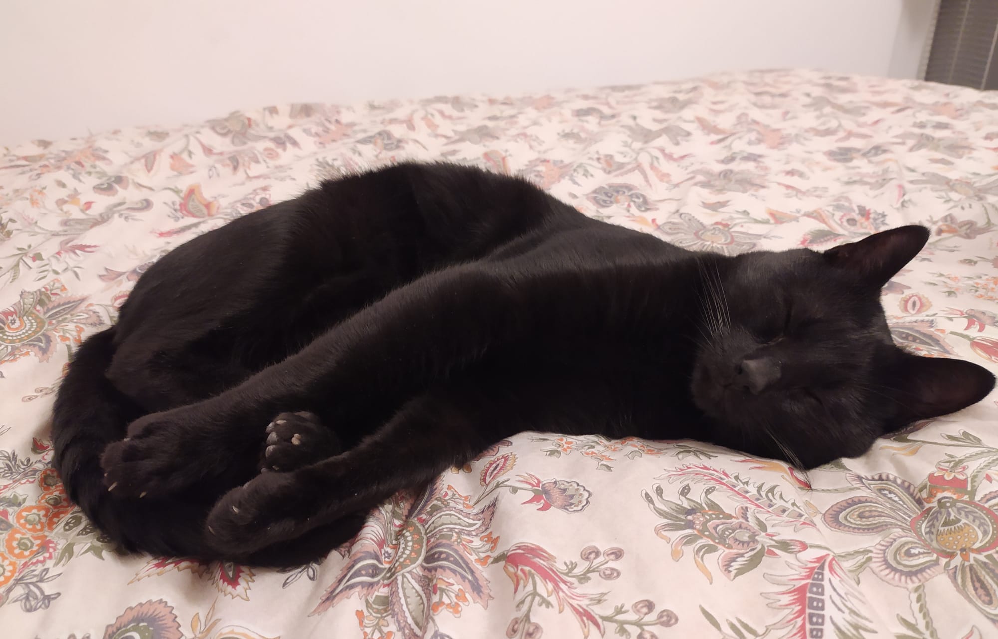 WhatsApp Image 2020-05-30 at 10.26.10.jpeg