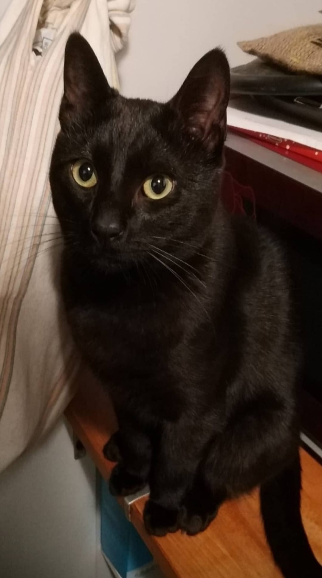 WhatsApp Image 2020-05-30 at 10.27.41.jpeg