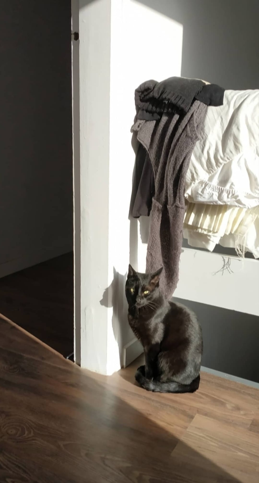 WhatsApp Image 2020-05-30 at 10.31.30.jpeg