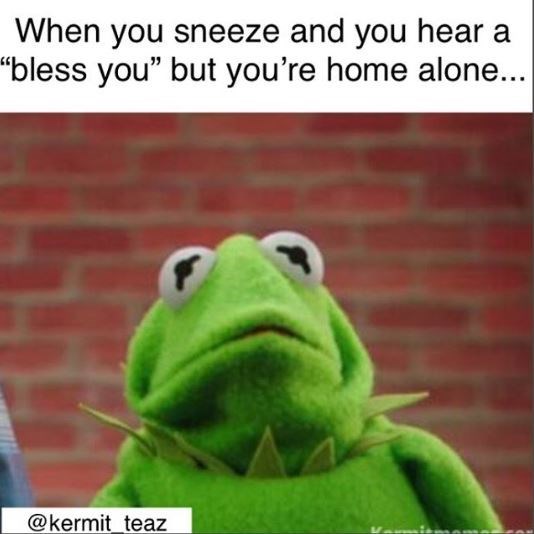when-you-sneeze-and-you-hear-a-bless-you-but-youre-home-alone-above-a-pic-of-kermit-looking-sc...jpg