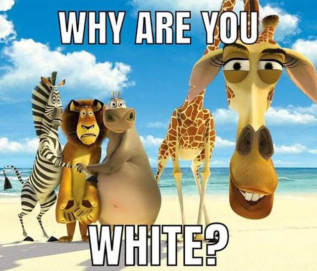 WhyAreYouWhite.png
