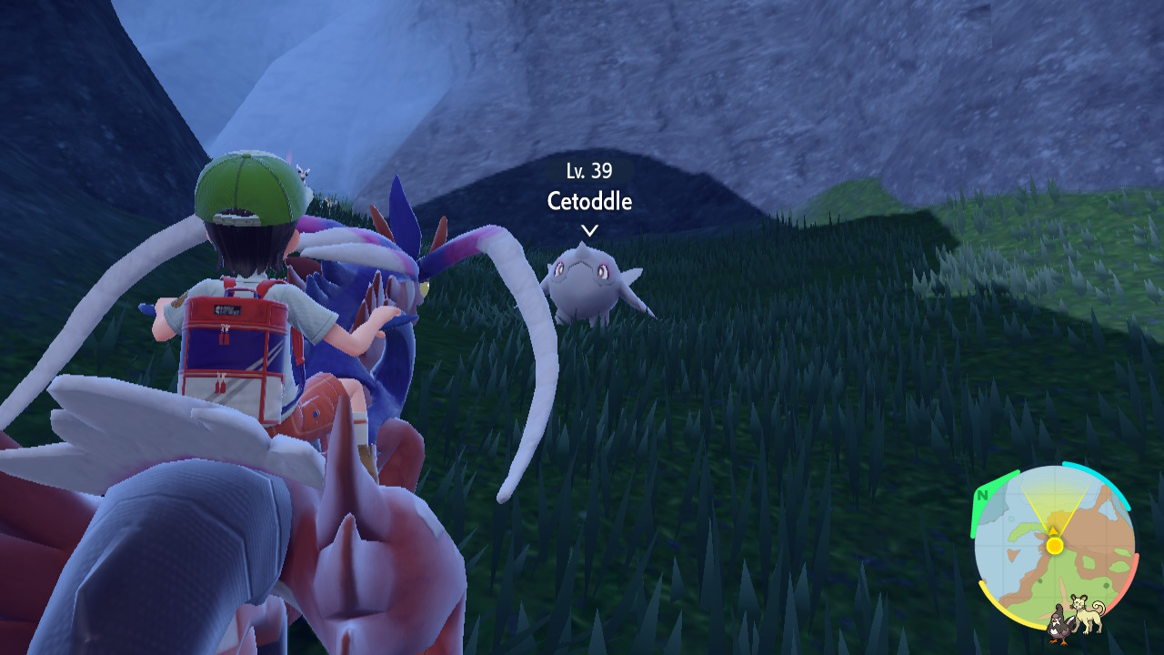 Wild Cetoddle.jpg