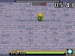 wingull1.gif
