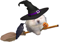 witchpotato.png
