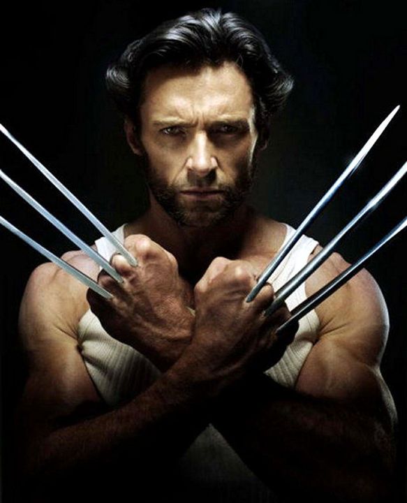 wolverine.jpg