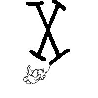 x cat.gif