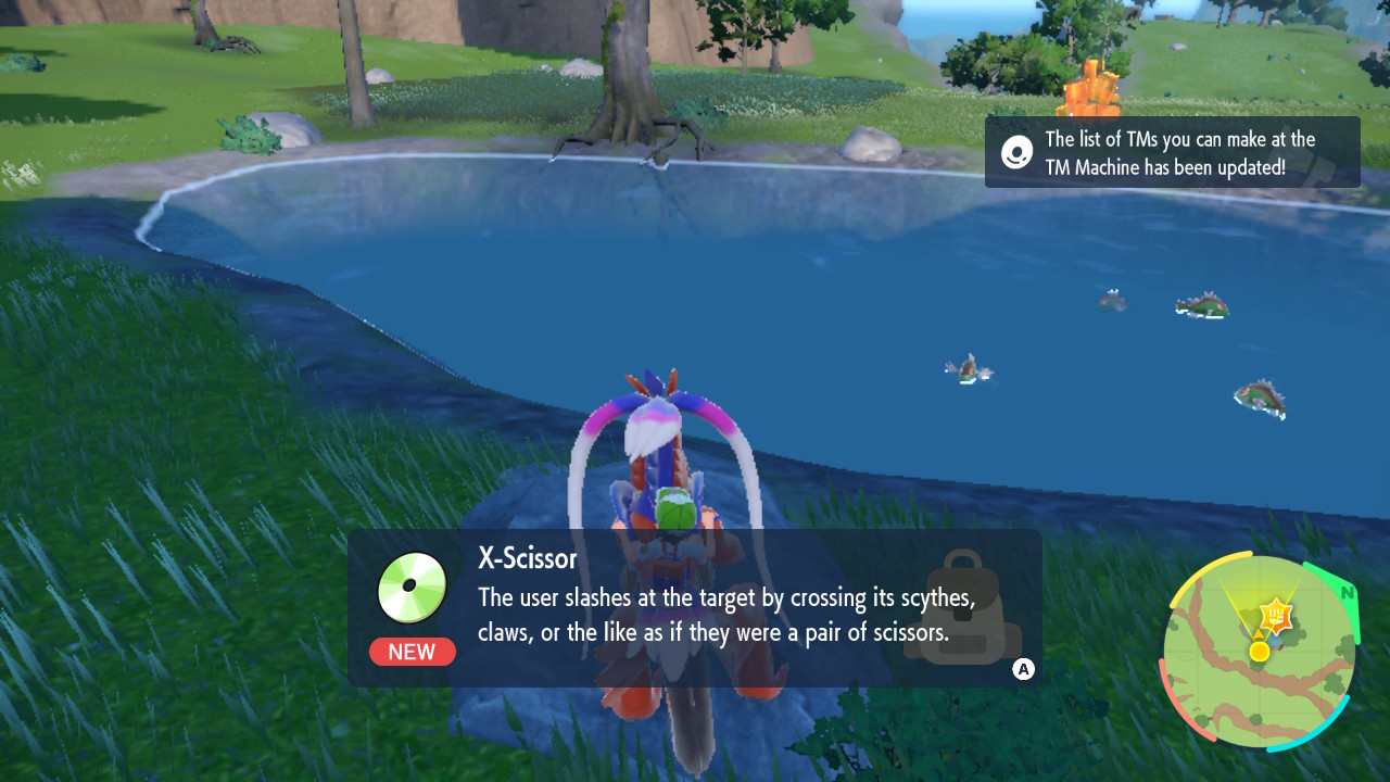 X Scissor.jpg