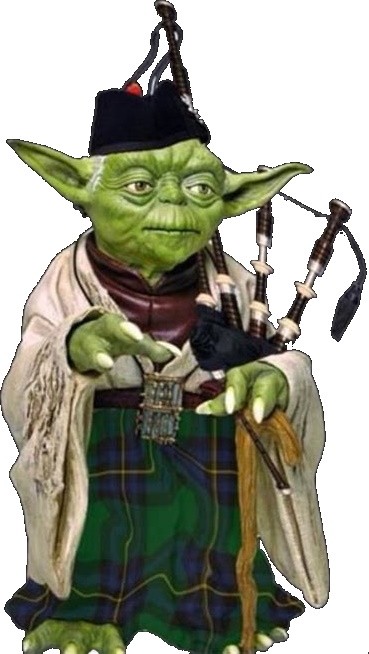 yoda_irl.jpg