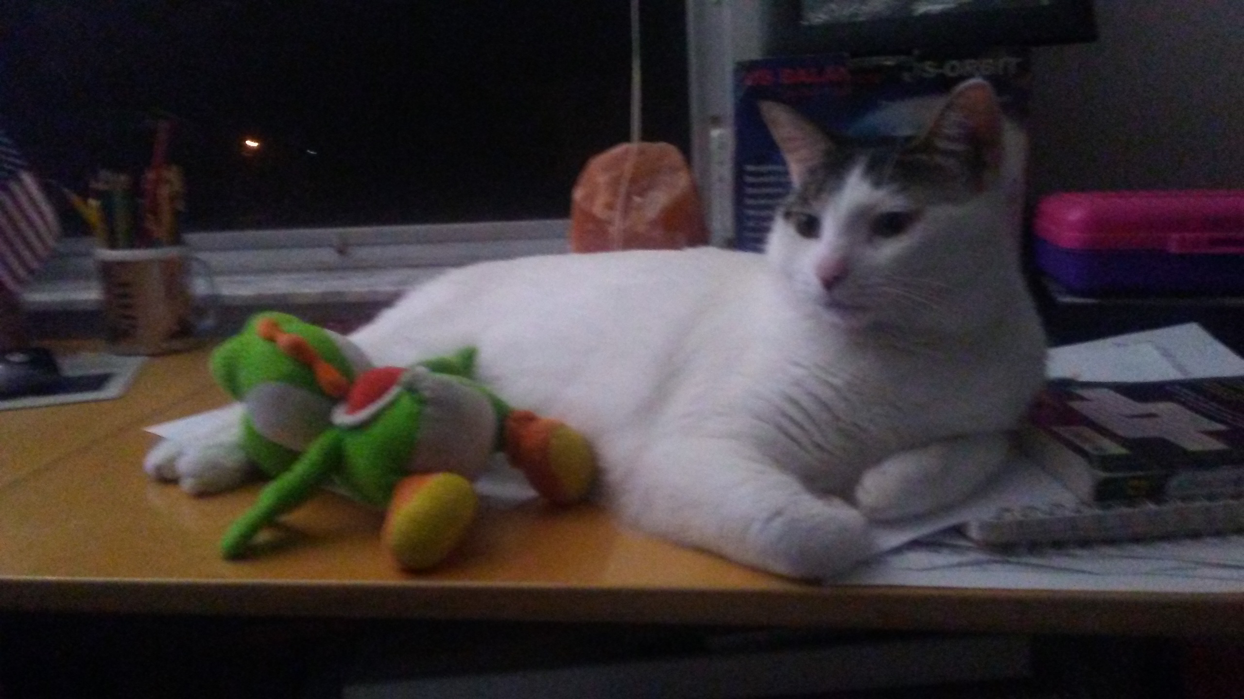 Yoshi gets caught.jpg
