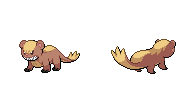 yungoos.png