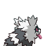 ZIGZAGOON_1.png