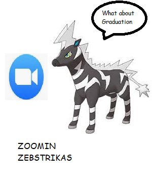 zoomin zebstrika.png