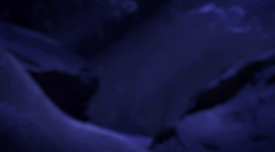 Zorua 1.gif