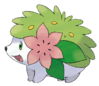 492.png