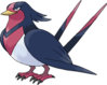 swellowpic.jpg