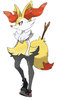 braixen serena.jpg