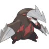DRilly.png