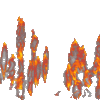 fire 3.gif
