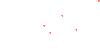 petals 2.gif