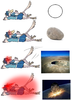 asteroids.png