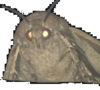 1551885435696.png