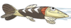 screen_shot_2019-09-05_at_10.25.08_pm.png