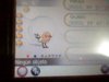 fletching shiny.jpg