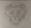 Lion Line Sketch Cropped.jpg