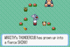 SnakewoodLP11.png