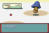 SnakewoodLP312.png