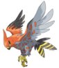 talonflame.jpg