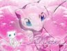 Mew Pic.jpg