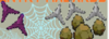 1599616345895.png