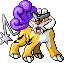 243.png