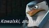 images (95).jpeg