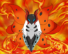 favourite_fire_type_pokemon__volcarona_by_kumata-d6b1io0.png favourite_fire_type_pokemon__volcarona_by_kumata-d6b1io0.png