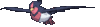 swellow.gif