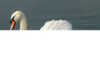 1629323401310.png
