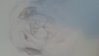 20150316_090217.jpg
