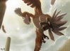 pokemon__shiny_ho_oh_by_mark331-d3j8sy8.jpg