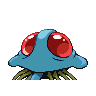 Tentacruel DPP Back.png Tentacruel DPP Back.png