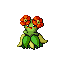BellossomB.png