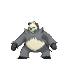 Pangoro_XY.gif