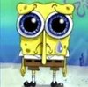 spunchbob.jpeg