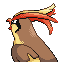 PidgeotBack copy.png PidgeotBack copy.png